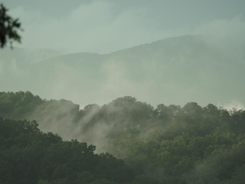 Sample (Misty Mountains)