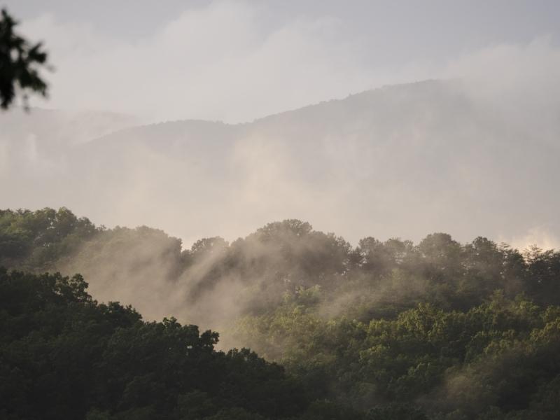 Sample (Misty Mountains)