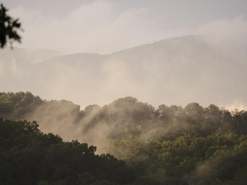 Sample (Misty Mountains)