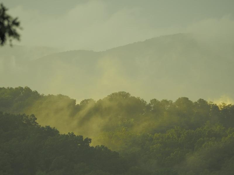 Sample (Misty Mountains)