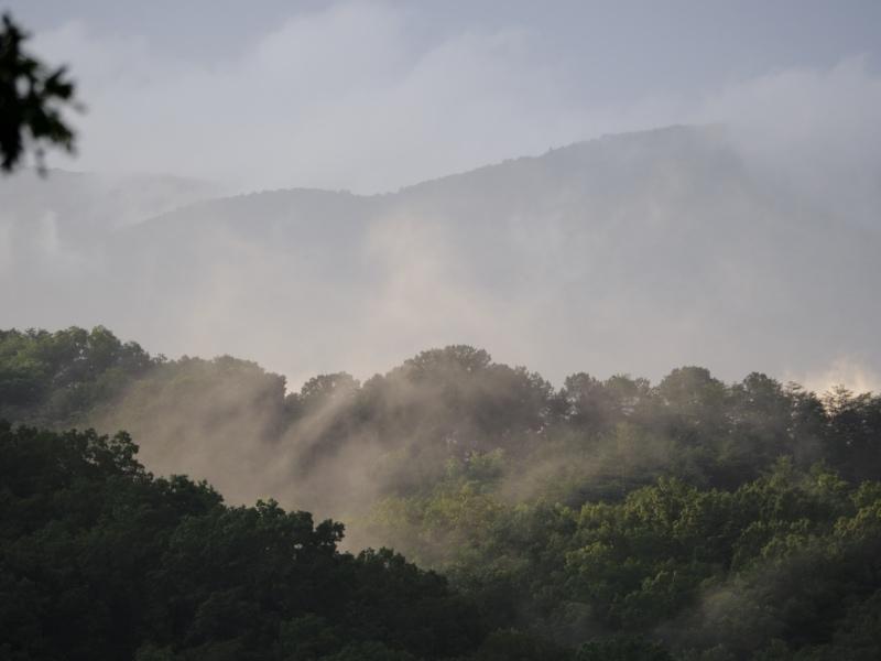 Sample (Misty Mountains)