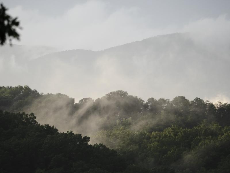 Sample (Misty Mountains)