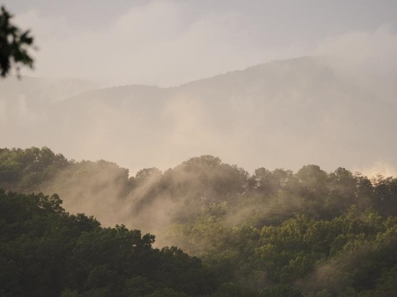 Sample (Misty Mountains)