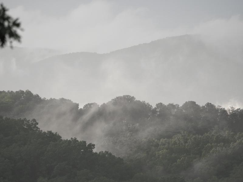 Sample (Misty Mountains)