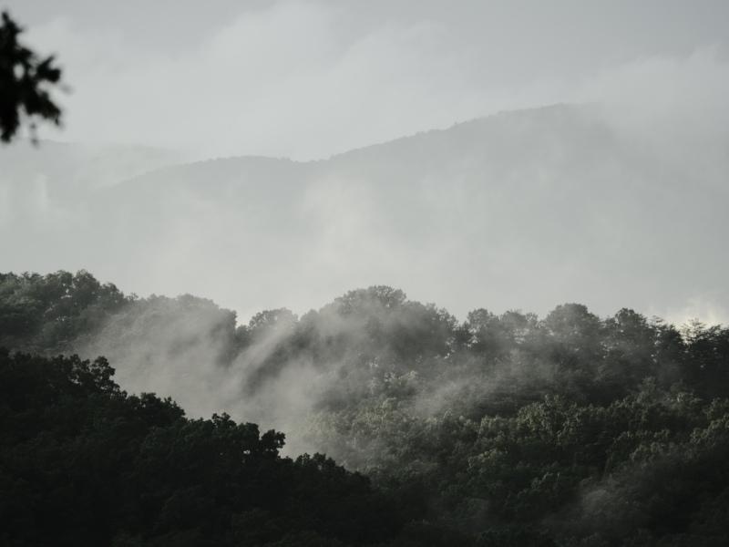 Sample (Misty Mountains)