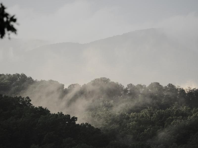 Sample (Misty Mountains)