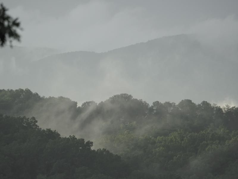 Sample (Misty Mountains)