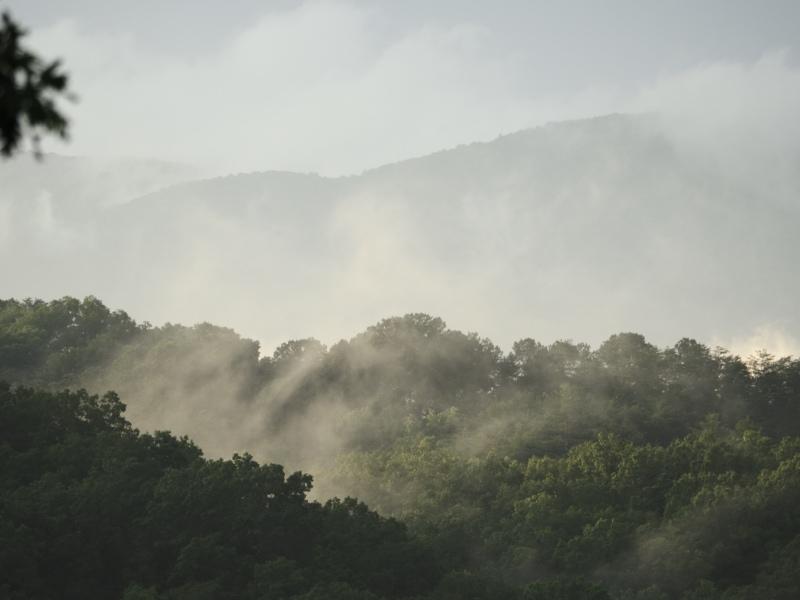 Sample (Misty Mountains)