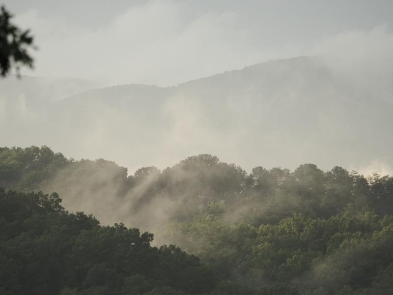 Sample (Misty Mountains)