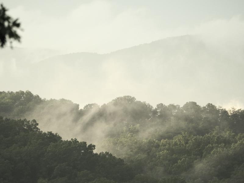 Sample (Misty Mountains)