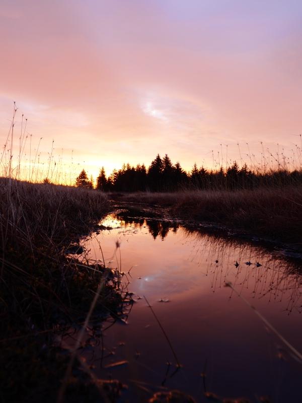 Sample (Dolly Sods Sunrise)