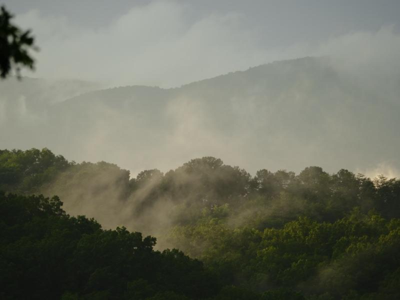 Sample (Misty Mountains)