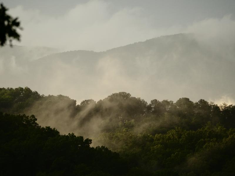 Sample (Misty Mountains)