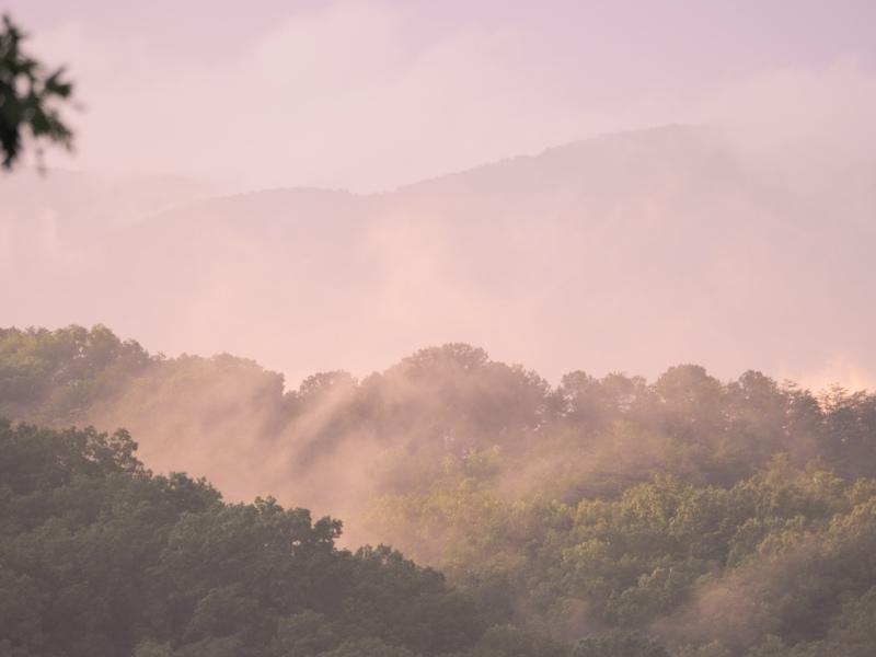 Sample (Misty Mountains)