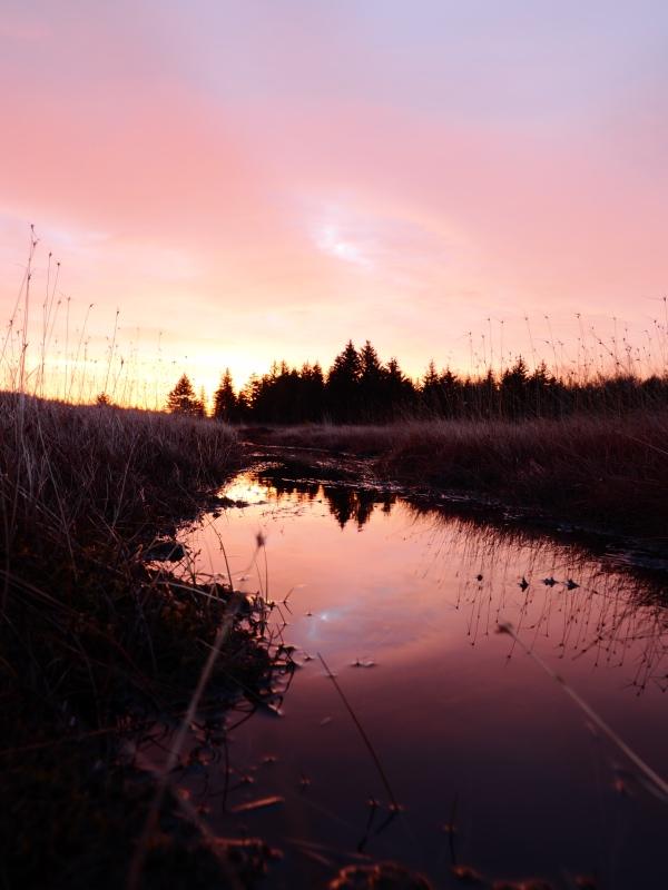 Sample (Dolly Sods Sunrise)
