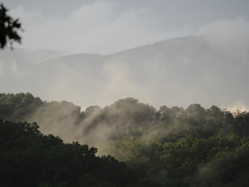 Sample (Misty Mountains)