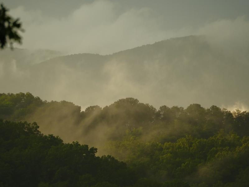 Sample (Misty Mountains)