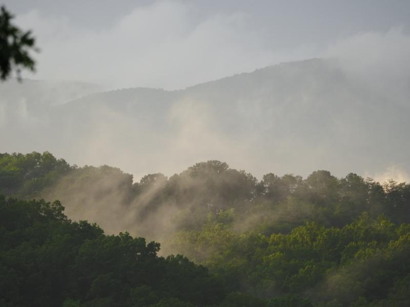 Sample (Misty Mountains)