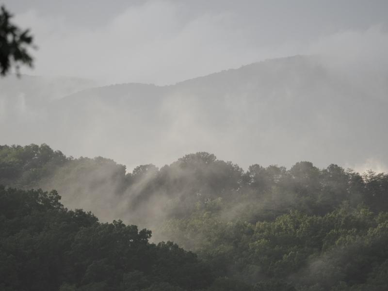 Sample (Misty Mountains)