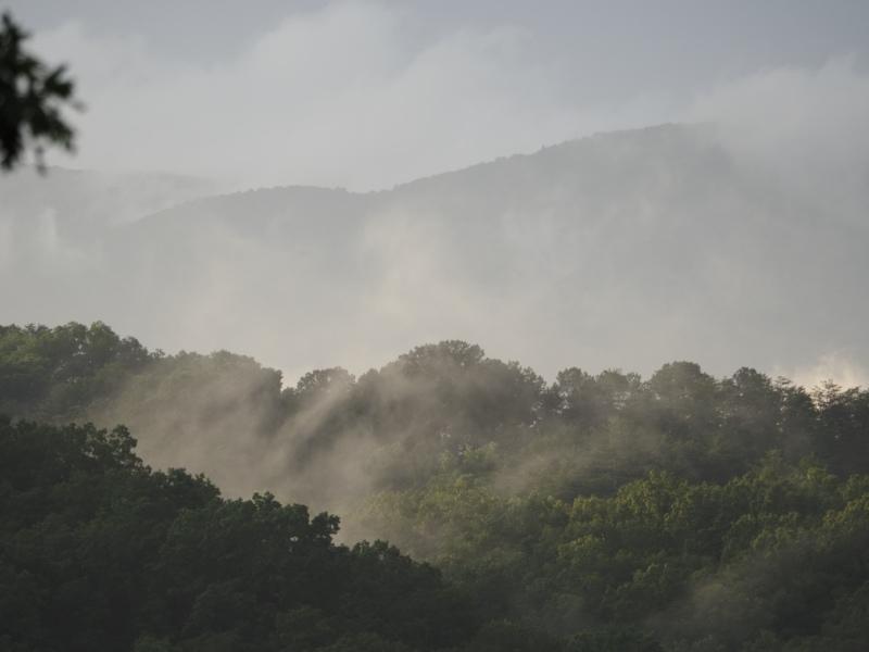 Sample (Misty Mountains)