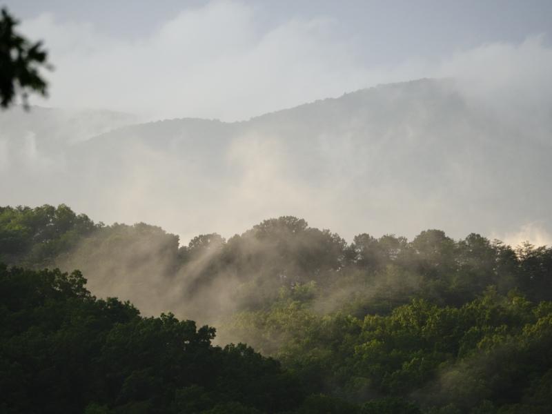 Sample (Misty Mountains)