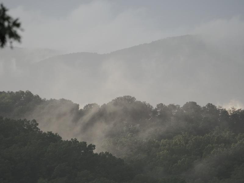 Sample (Misty Mountains)