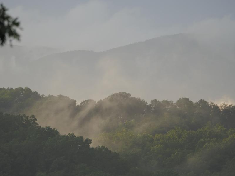 Sample (Misty Mountains)