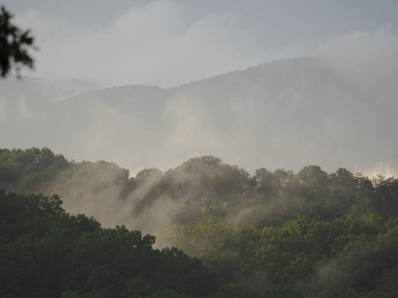 Sample (Misty Mountains)