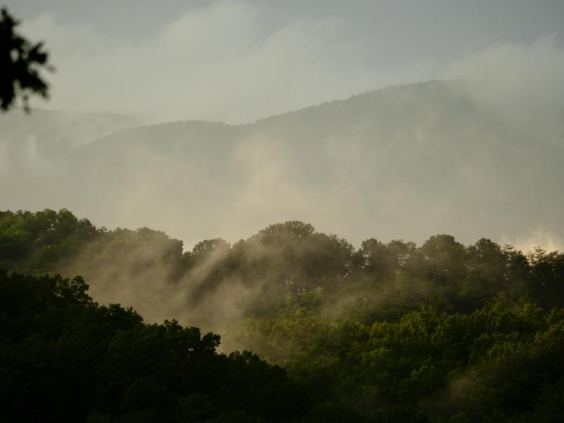 Sample (Misty Mountains)