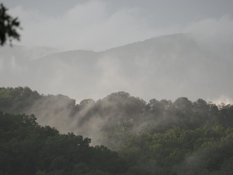 Sample (Misty Mountains)