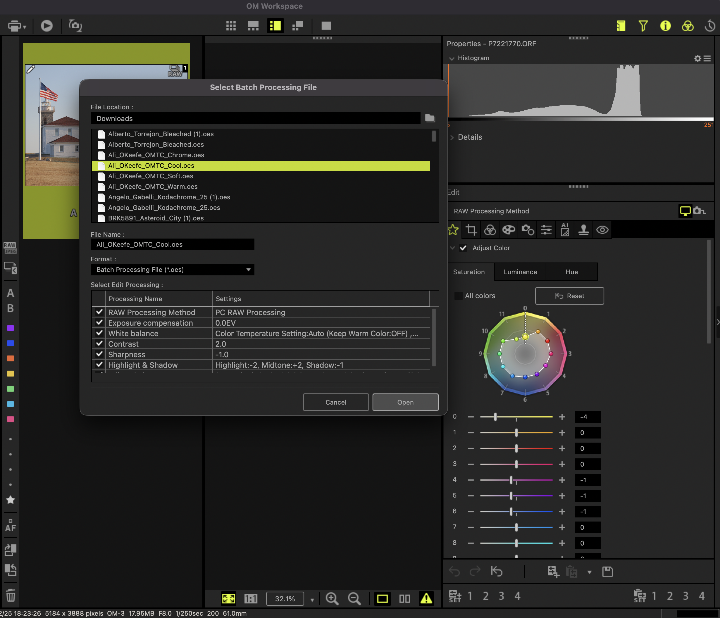 OM Workspace: opening the preset/batch processing panel